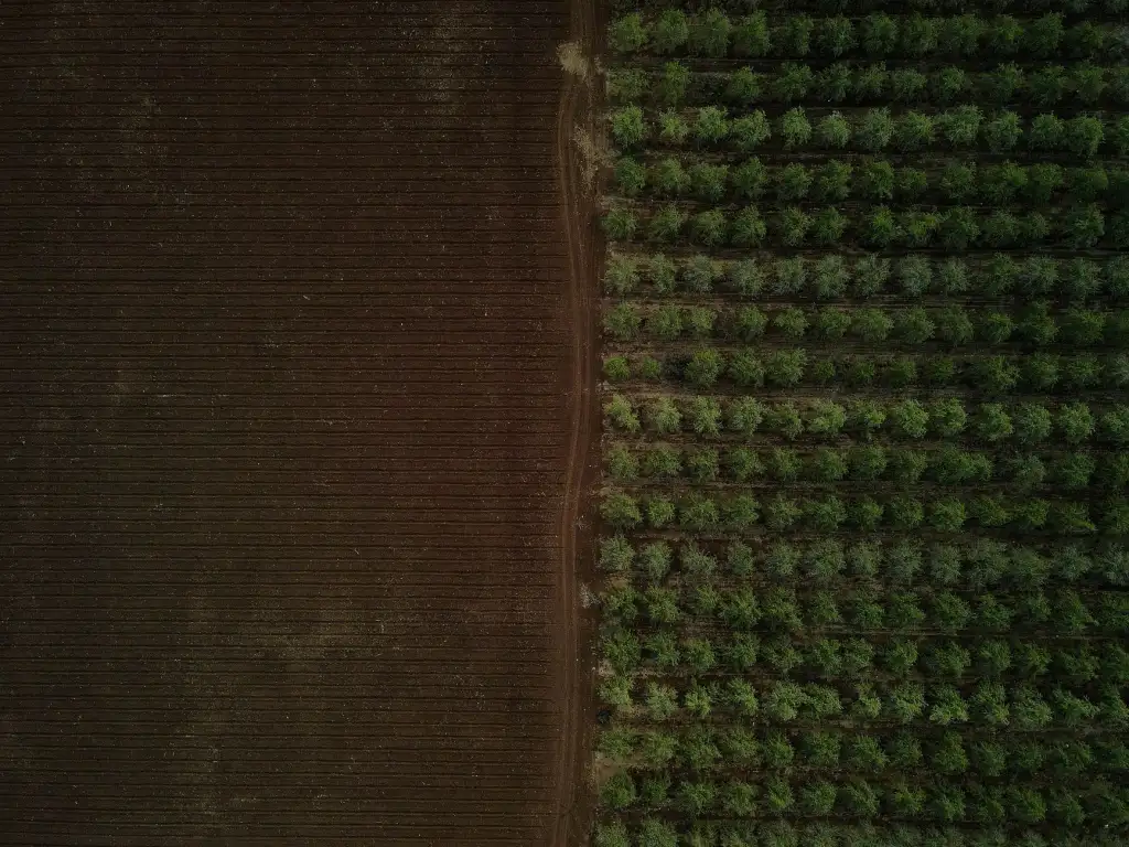 南宁市货物运输车队管理效率提升的五大信息化方案