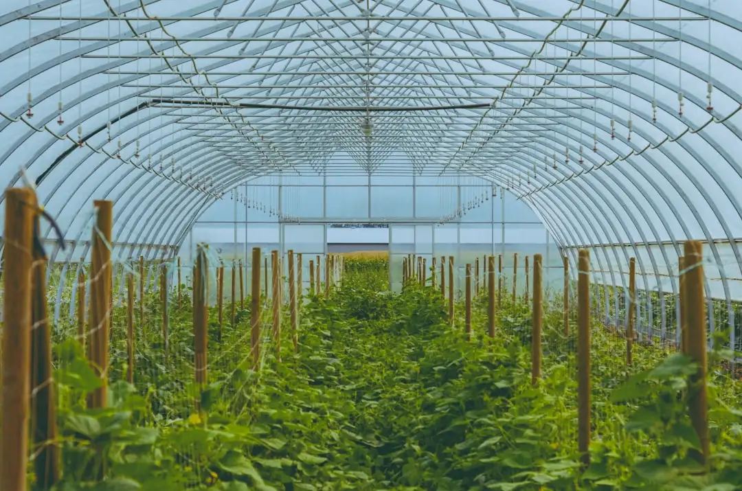 仓储配送效率提升方案：车队管理信息化系统的选型与实施路径