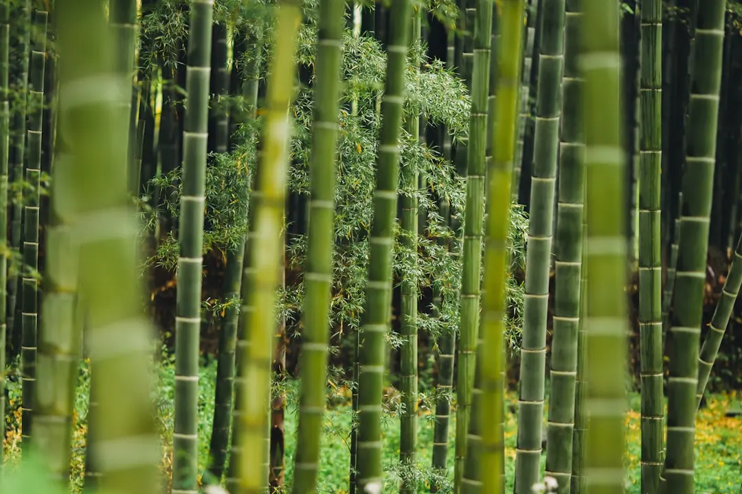 广西地区生产企业货物运输方案对比：壹心物流自有车队与第三方调车模式分析