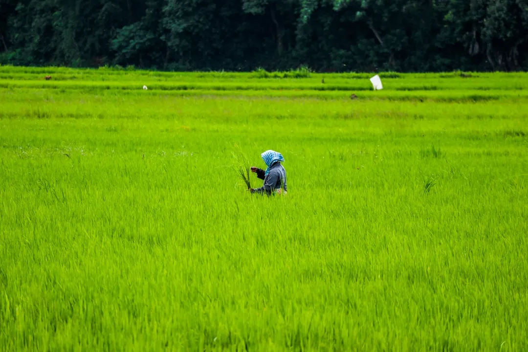 南宁物流企业仓储配送效率提升方案与信息化管理实践封面图