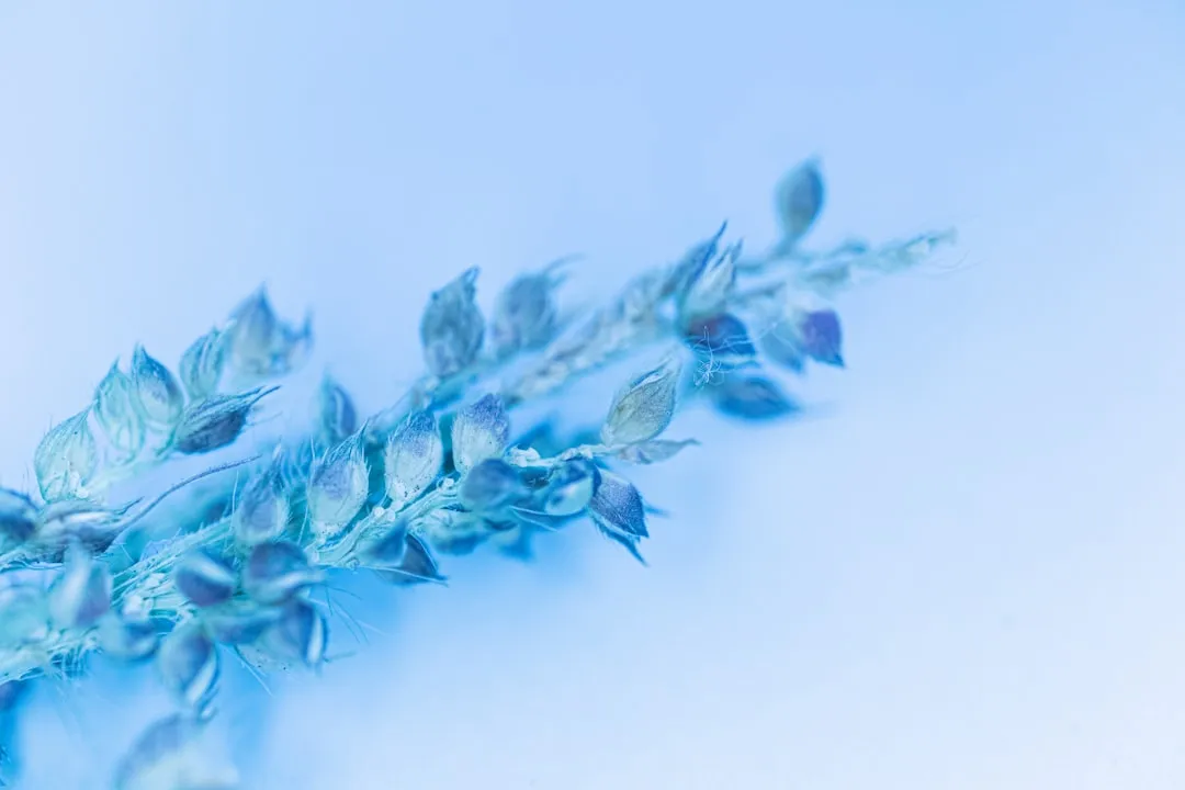 南宁物流服务如何提升仓储配送效率——壹心物流的实践解析