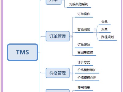 tms物流管理系统(TMS 运输管理系统)