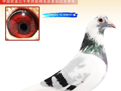 亚欧物流电话(三志亚欧物流电话)